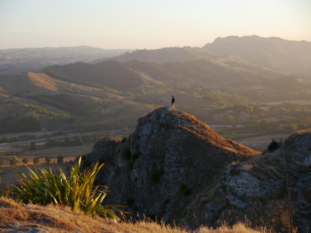 Living and Working in Hawke's Bay at VetsOne veterinary clinic, Hastings. View of Te Mata Peak.  Image:  hawkesbaynz.com